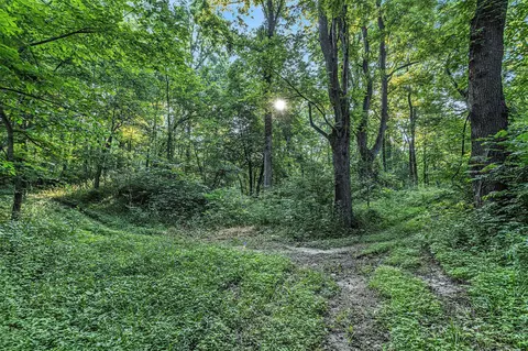 V/l Rumsey, Three Rivers, MI 49093 photo 14