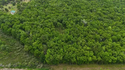 Coates Highway, Brethren, MI 49619 photo 17