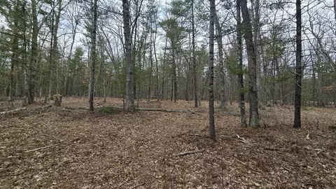 Coates Highway, Brethren, MI 49619 photo 39
