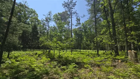 Coates Highway, Brethren, MI 49619 photo 25