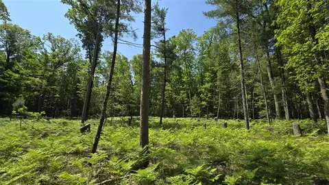 Coates Highway, Brethren, MI 49619 photo 24