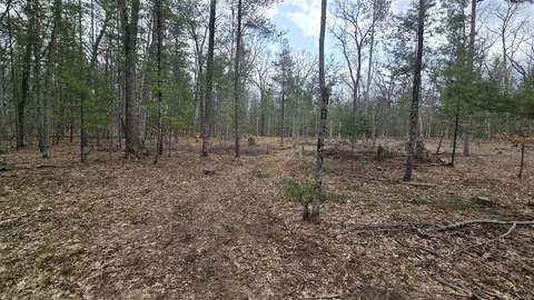 Coates Highway, Brethren, MI 49619 photo 37