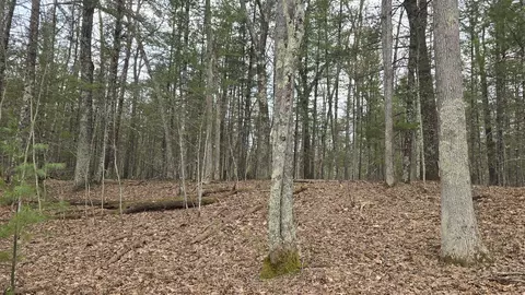 Coates Highway, Brethren, MI 49619 photo 36