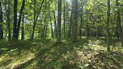 Coates Highway, Brethren, MI 49619 photo 27