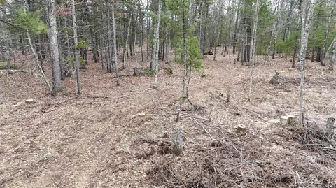 Coates Highway, Brethren, MI 49619 photo 45