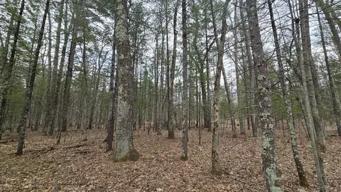 Coates Highway, Brethren, MI 49619 photo 38