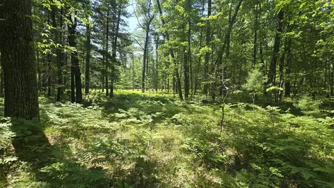Coates Highway, Brethren, MI 49619 photo 13