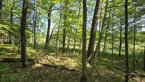 Coates Highway, Brethren, MI 49619 photo 11