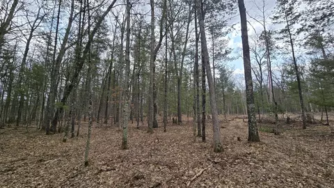 Coates Highway, Brethren, MI 49619 photo 43