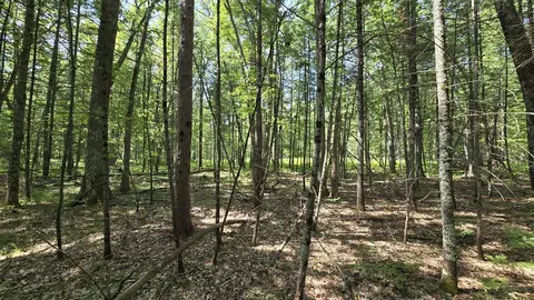 Coates Highway, Brethren, MI 49619 photo 18