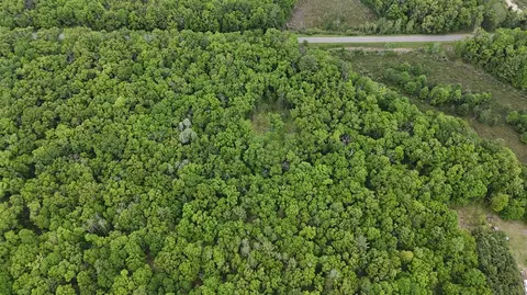 Coates Highway, Brethren, MI 49619 photo 8