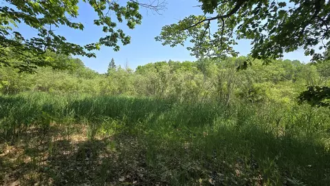 Coates Highway, Brethren, MI 49619 photo 21