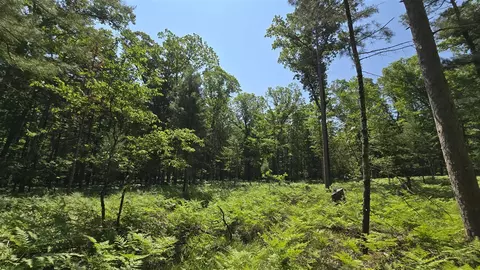 Coates Highway, Brethren, MI 49619 photo 23