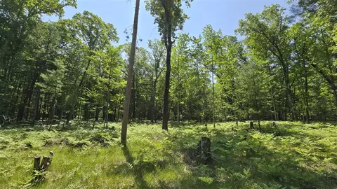 Coates Highway, Brethren, MI 49619 photo 22