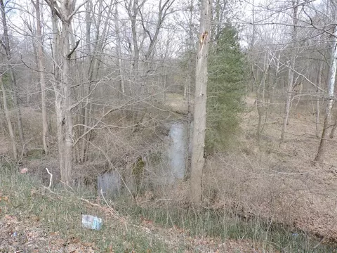 View/Area - 4897 Old Pipestone, Eau Claire, MI 49111 photo 2 of 2