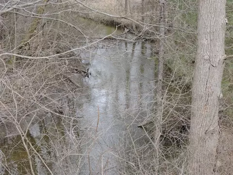 View/Area - 4897 Old Pipestone, Eau Claire, MI 49111 photo 1 of 2