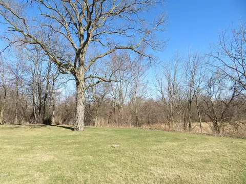 16805 Brewer, Dundee, MI 48131 photo 11