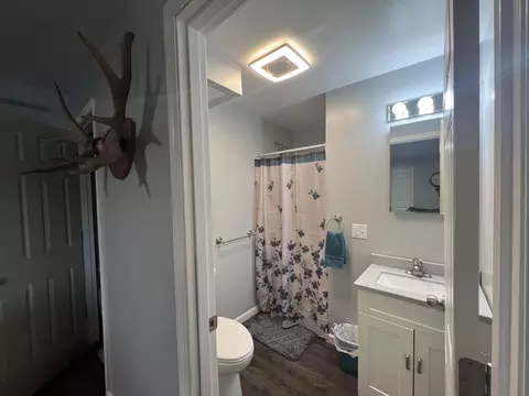 Bath - 1515 E Beechwood, White Cloud, MI 49349 photo 3 of 4