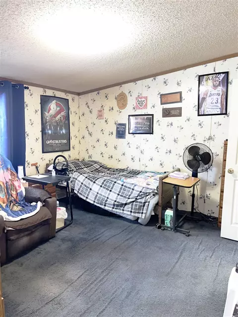 57820 Mitchell, Three Rivers, MI 49093 photo 7