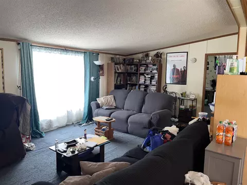 57820 Mitchell, Three Rivers, MI 49093 photo 4