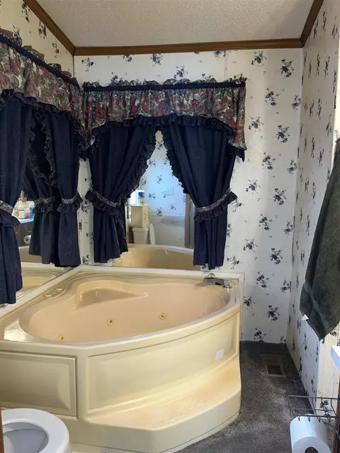 57820 Mitchell, Three Rivers, MI 49093 photo 8
