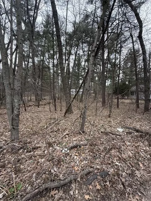 oak, Twin Lake, MI 49457