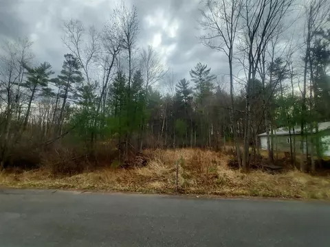 Cherry, Lakeview, MI 48850