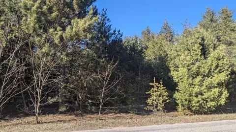 0 Tenth, Bear Lake, MI 49614