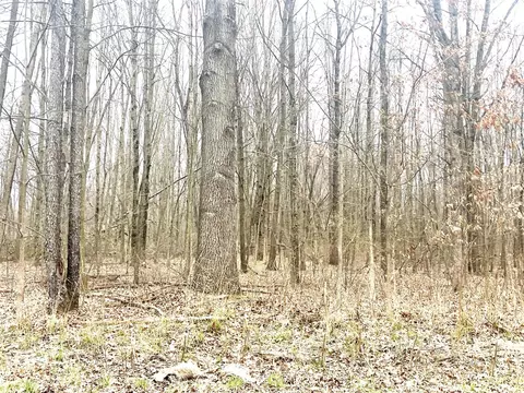 0 Tompkins, Rives Junction, MI 49277