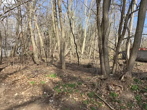 V/l Carleton, Whitehall, MI 49461