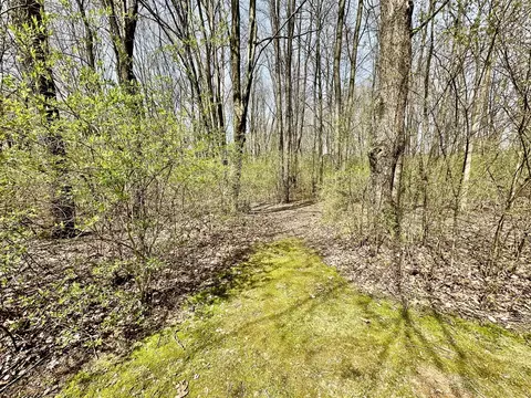 Exterior - 1606 Bunting, Jackson, MI 49201 photo 21 of 24