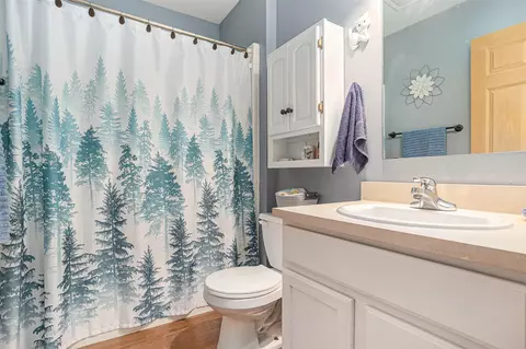 Bath - 14329 Waubascon, Bellevue, MI 49021 photo 1 of 3