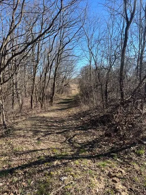 Parcel A W County Line, Greenville, MI 48838