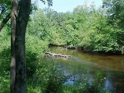 6232 Abbey, Stanwood, MI 49346