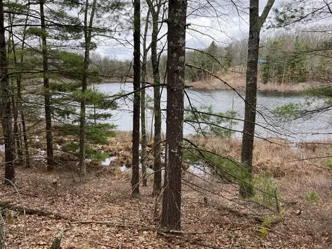 Vl Perch Lake, Bitely, MI 49309