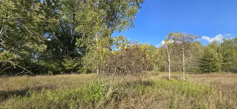 8692 E Baseline, Mount Pleasant, MI 48858 photo 52
