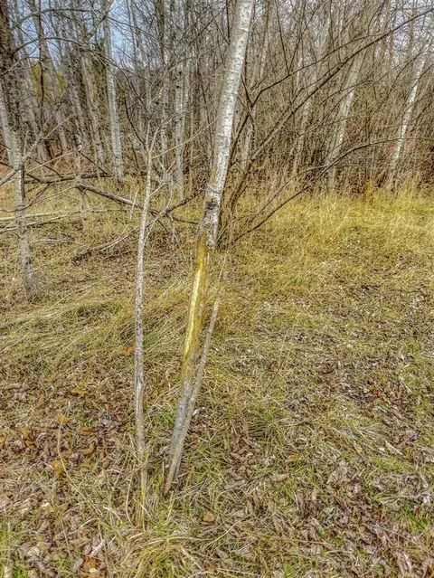 8692 E Baseline, Mount Pleasant, MI 48858 photo 76