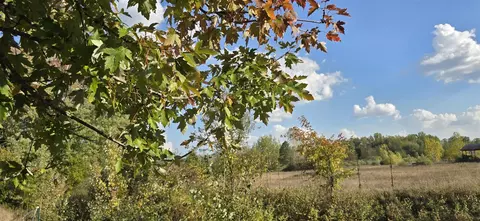 8692 E Baseline, Mount Pleasant, MI 48858 photo 26