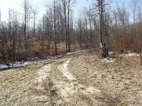 000 Valley, Alden, MI 49612