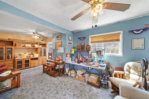 113 Marietta, Spring Arbor, MI 49283 photo 6