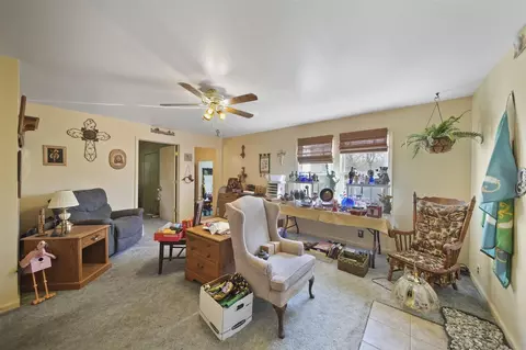 113 Marietta, Spring Arbor, MI 49283 photo 15