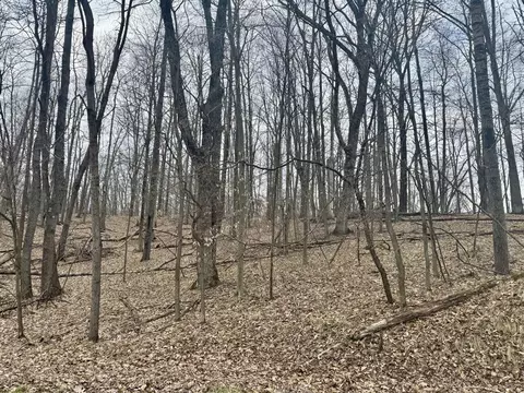 9779 Buffalo, Canadian Lakes, MI 49346