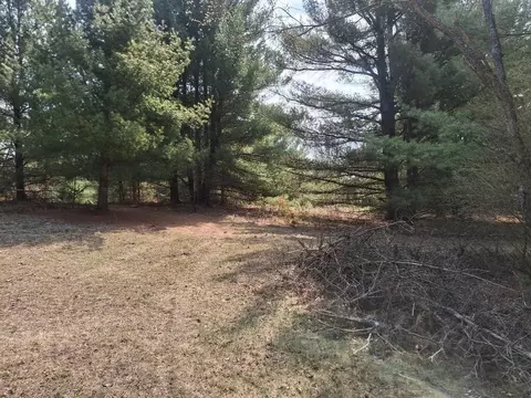 23-24 Ridge, Evart, MI 49631
