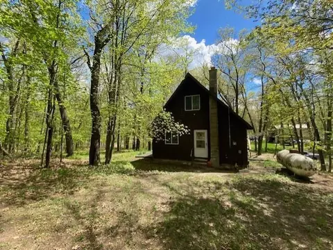 Exterior - 238 Maple, Bitely, MI 49309 photo 1 of 13