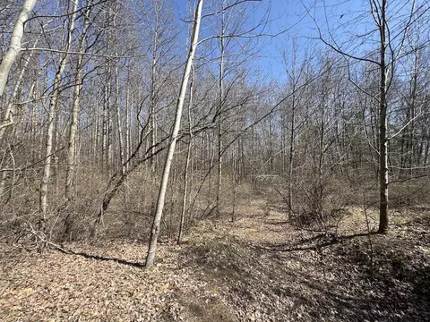Exterior - 3787 Buzzell, Gladwin, MI 48624 photo 34 of 49