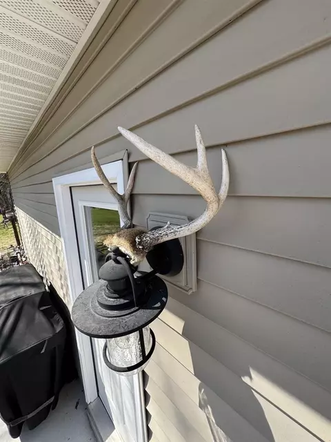 Exterior - 3787 Buzzell, Gladwin, MI 48624 photo 15 of 49