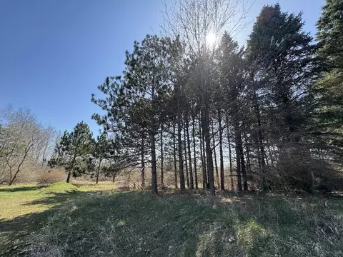 Other - 3787 Buzzell, Gladwin, MI 48624 photo 3 of 44
