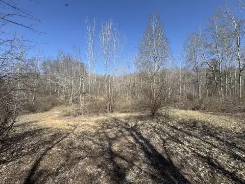 Exterior - 3787 Buzzell, Gladwin, MI 48624 photo 36 of 49