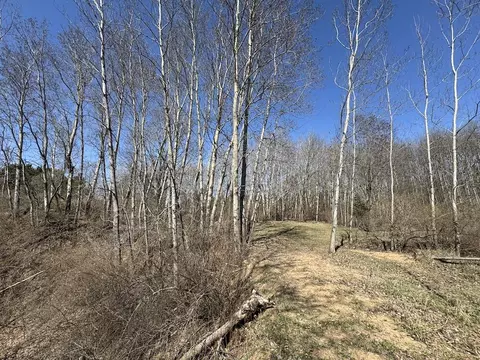 Other - 3787 Buzzell, Gladwin, MI 48624 photo 16 of 44