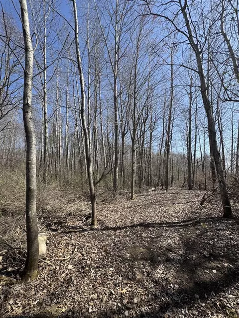 Other - 3787 Buzzell, Gladwin, MI 48624 photo 11 of 44